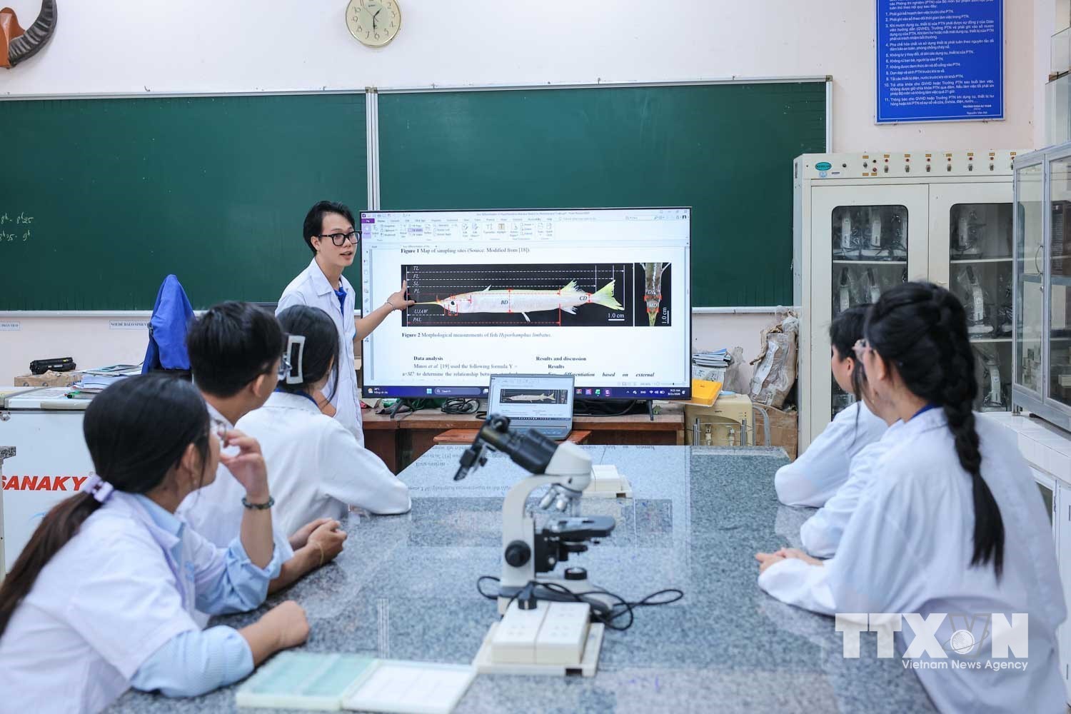 Sinh viên Đại học Cần Thơ trao đổi về cách thức thực hiện đo đạc mẫu vật, thu thập số liệu ban đầu theo phương pháp từ các nghiên cứu trước đây. (Ảnh: Hoàng Hiếu/TTXVN)